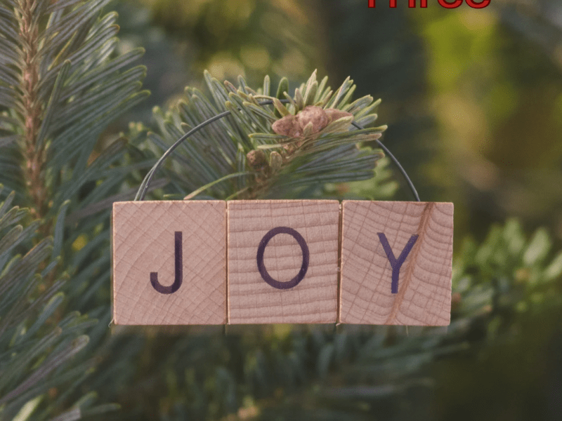 Advent 2025 Third Sunday:&nbsp;JOY