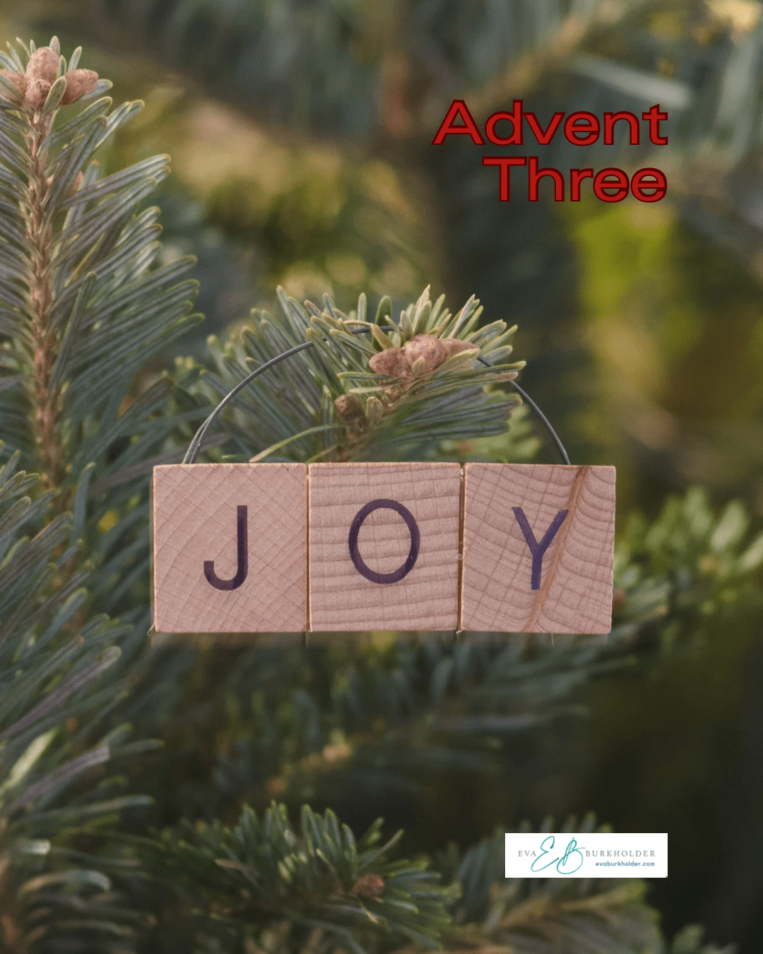 Advent 2025 Third Sunday:&nbsp;JOY